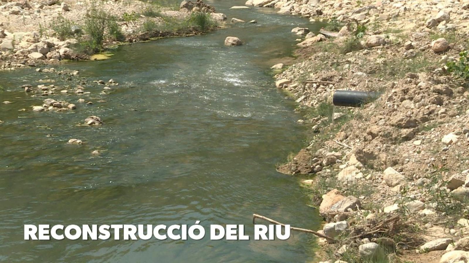 Recuperació de paratges naturals afectats per la dana