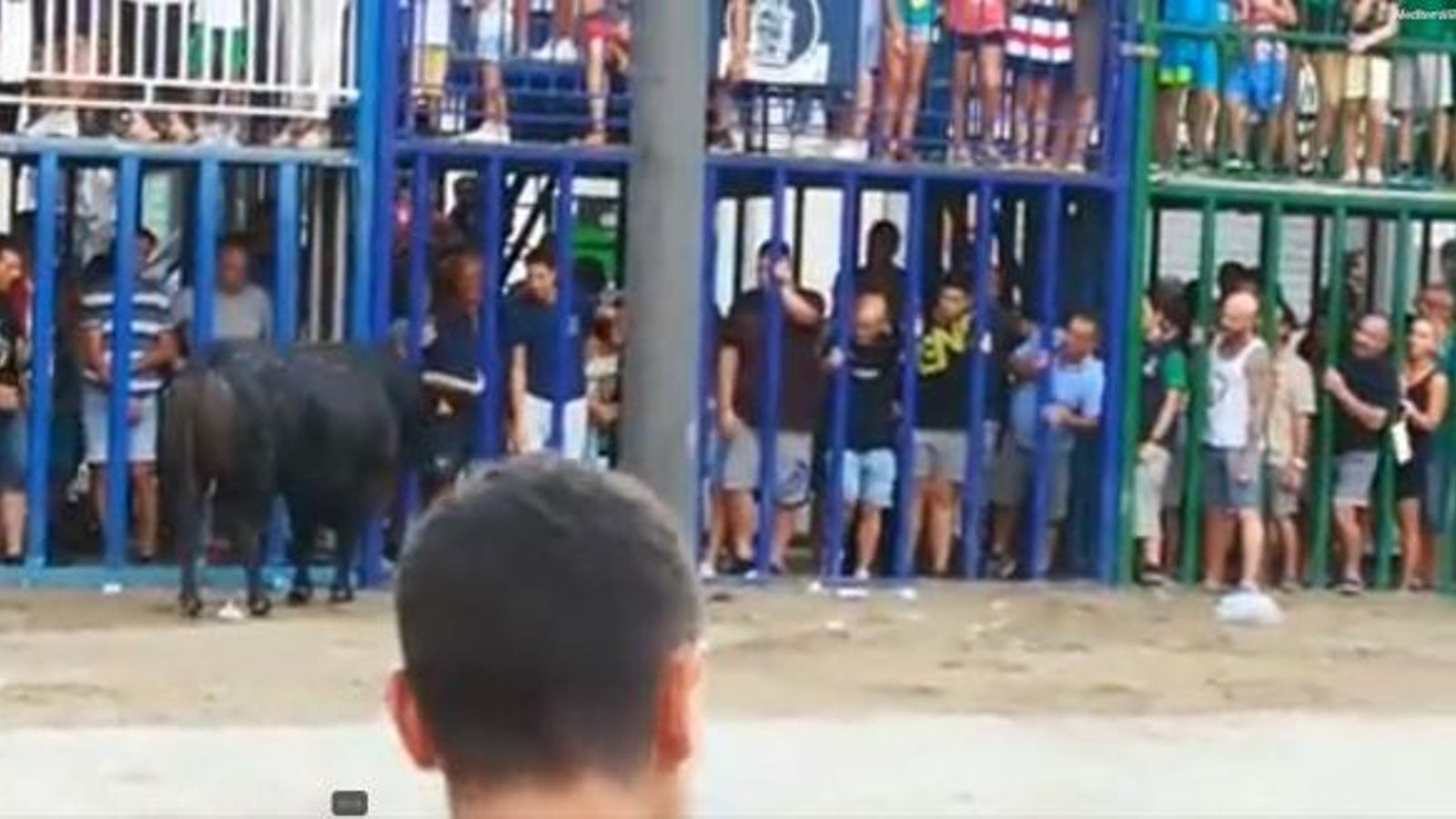 Captura de pantalla del vídeo de l'enganxada d'un dels ferits