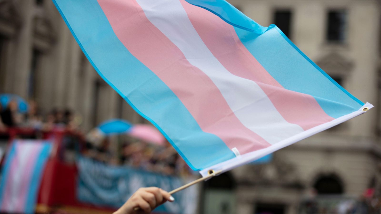 La bandera trans oneja en una manifestació