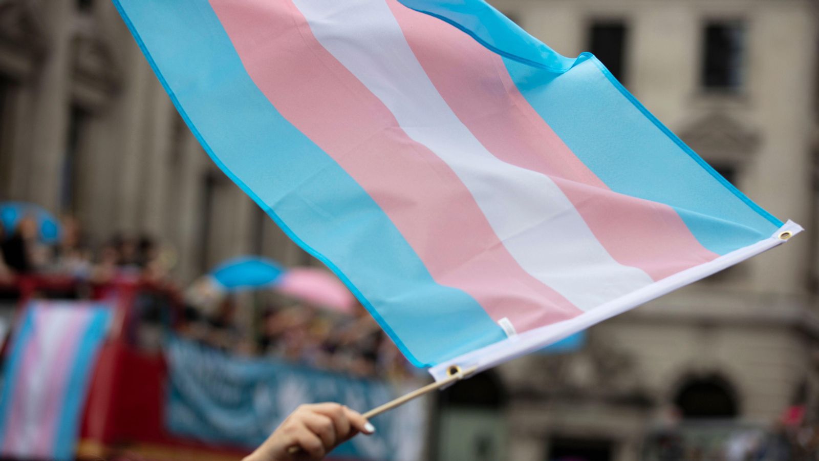 La bandera trans oneja en una manifestació La bandera trans oneja en una manifestació