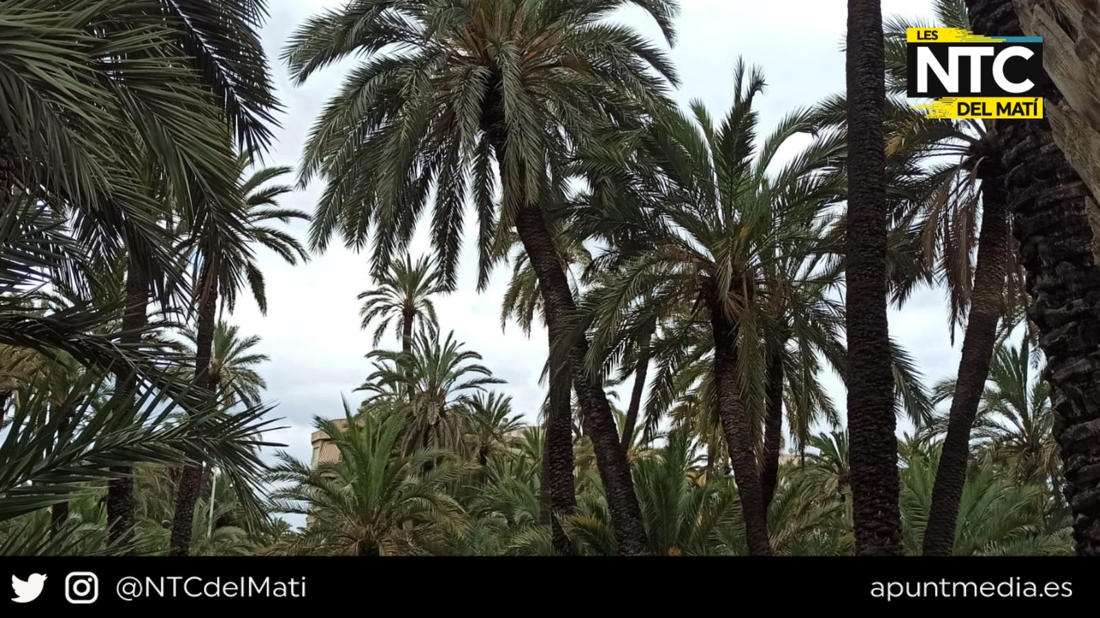 05.05.2022 | El Palmeral d'Elx