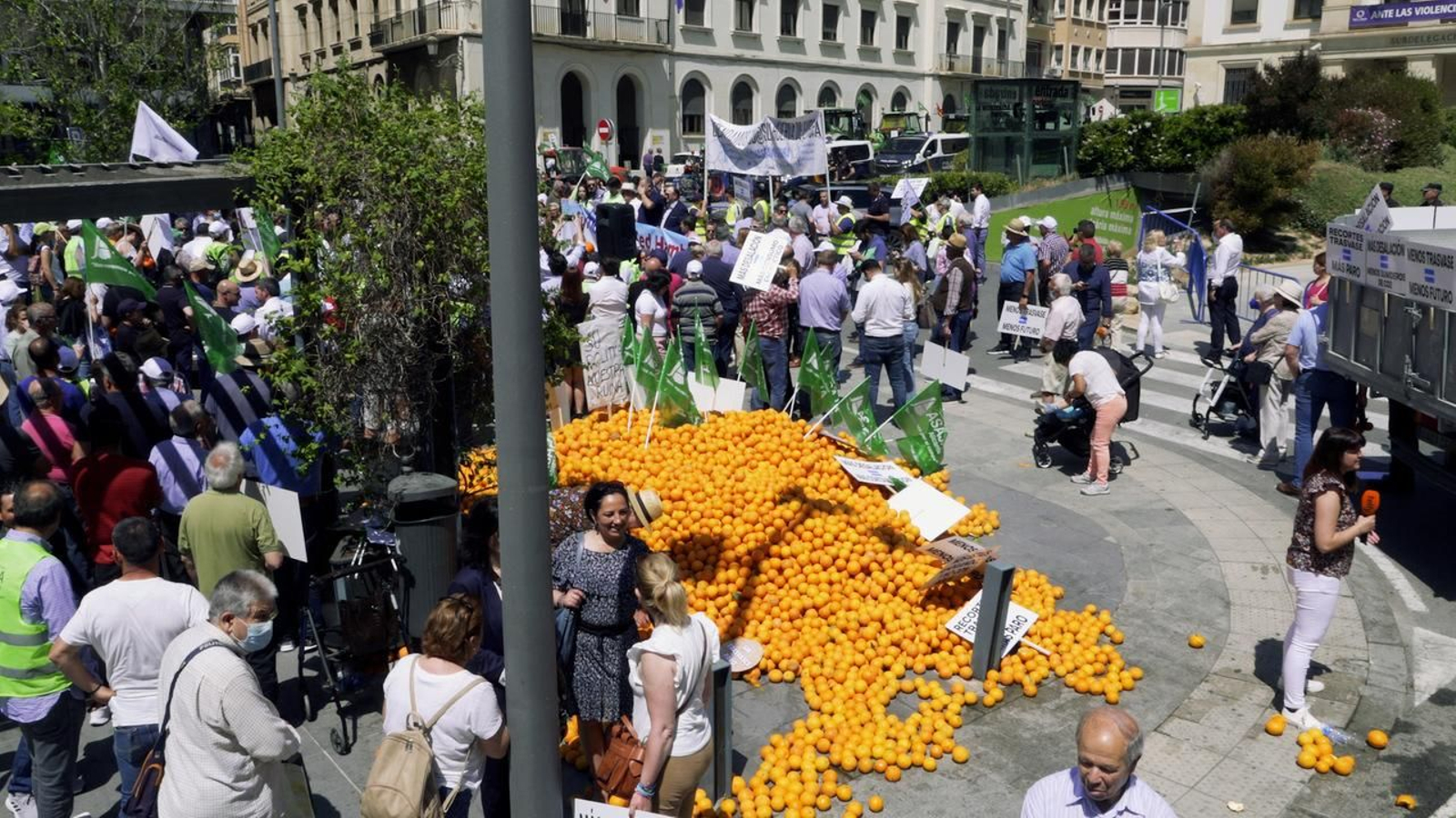 El programa analitzarà com afectaran totes aquestes mesures el camp valencià.