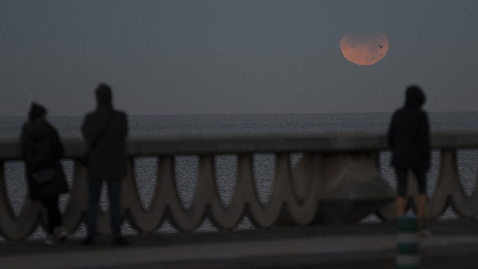 Imatge d'arxiu d'un eclipse llunar que va tindre lloc el 19 de novembre de l'any 2021