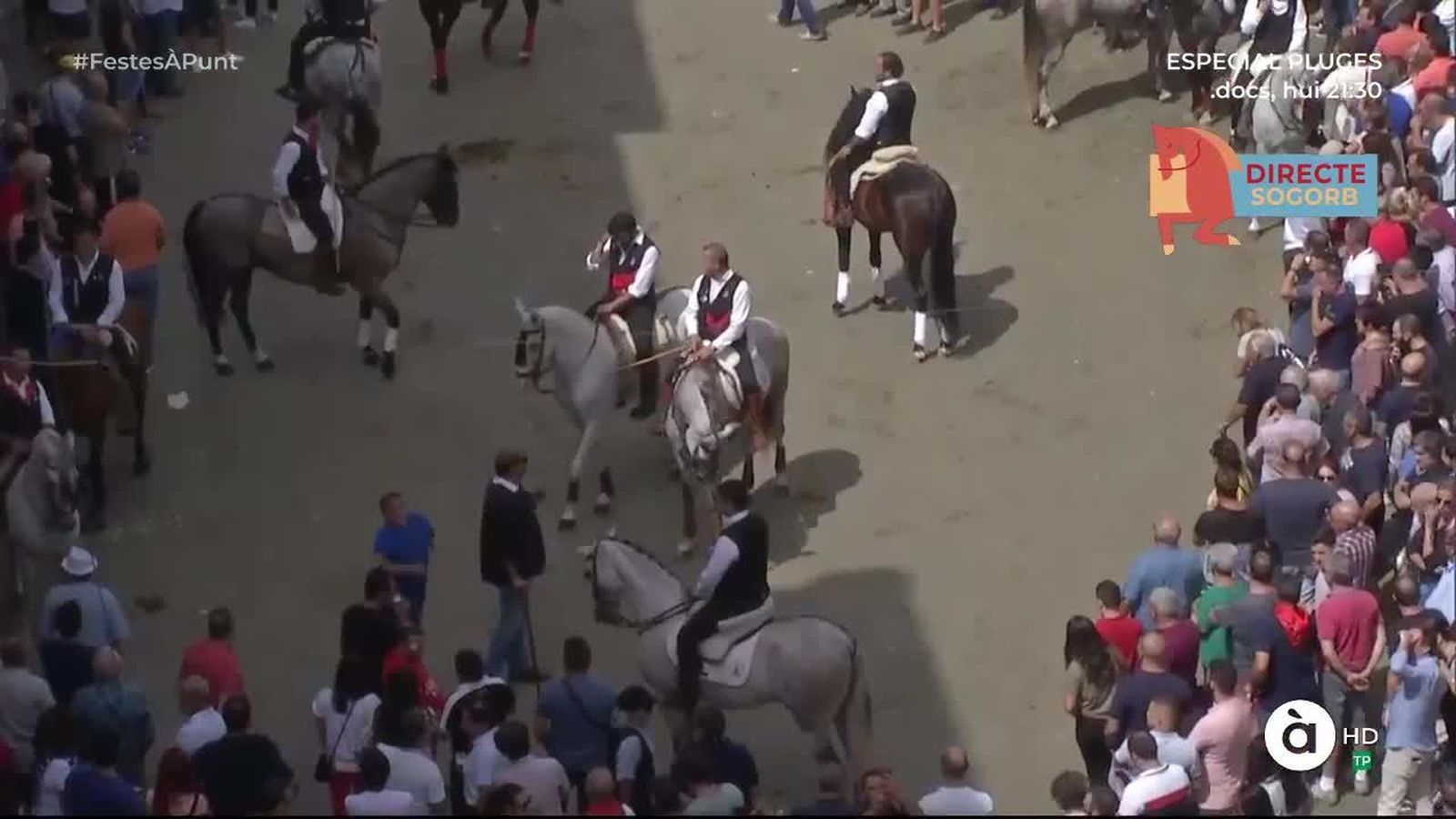 15.09.2019 | Setena entrada de bous i cavalls Sogorb