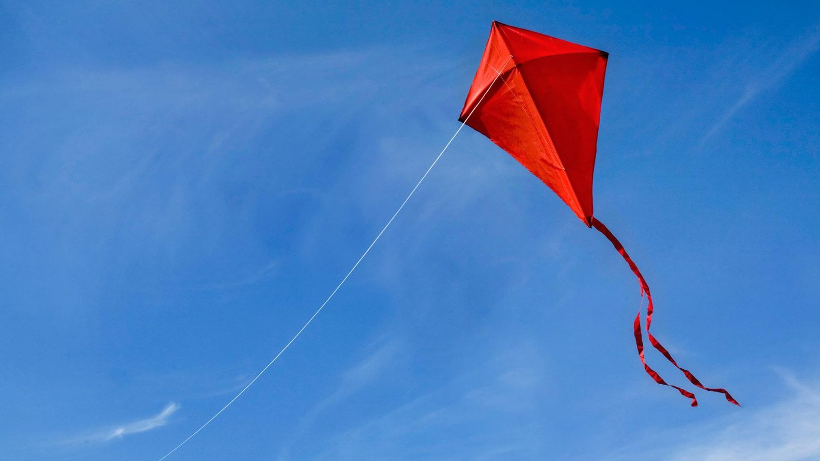 Descobrim l'origen dels catxerulos