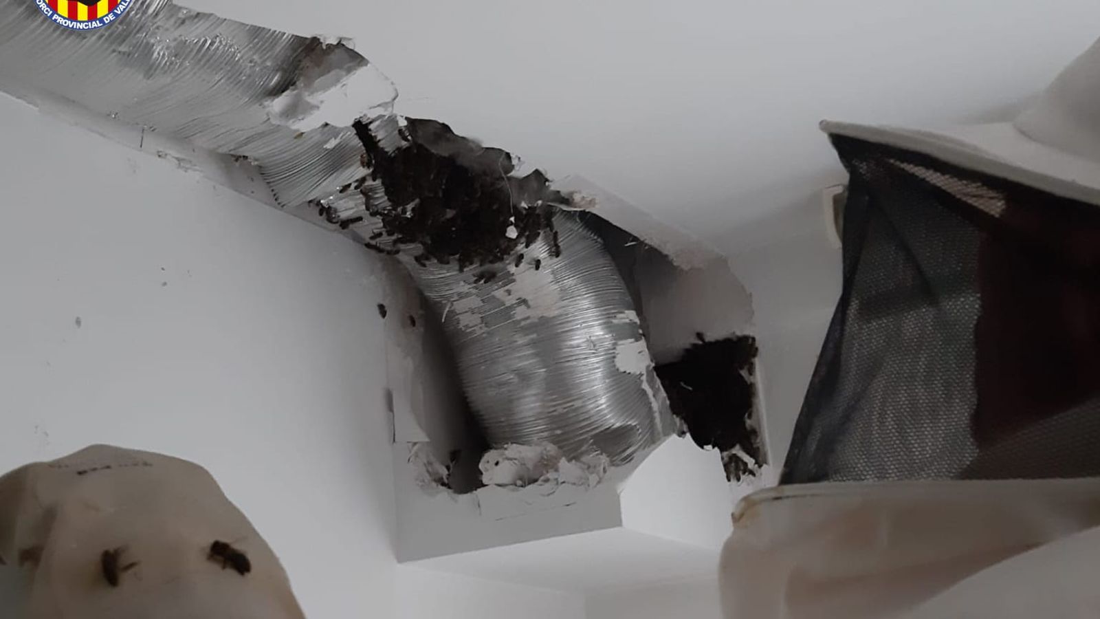 Bombers retiren rusc abelles a Utiel