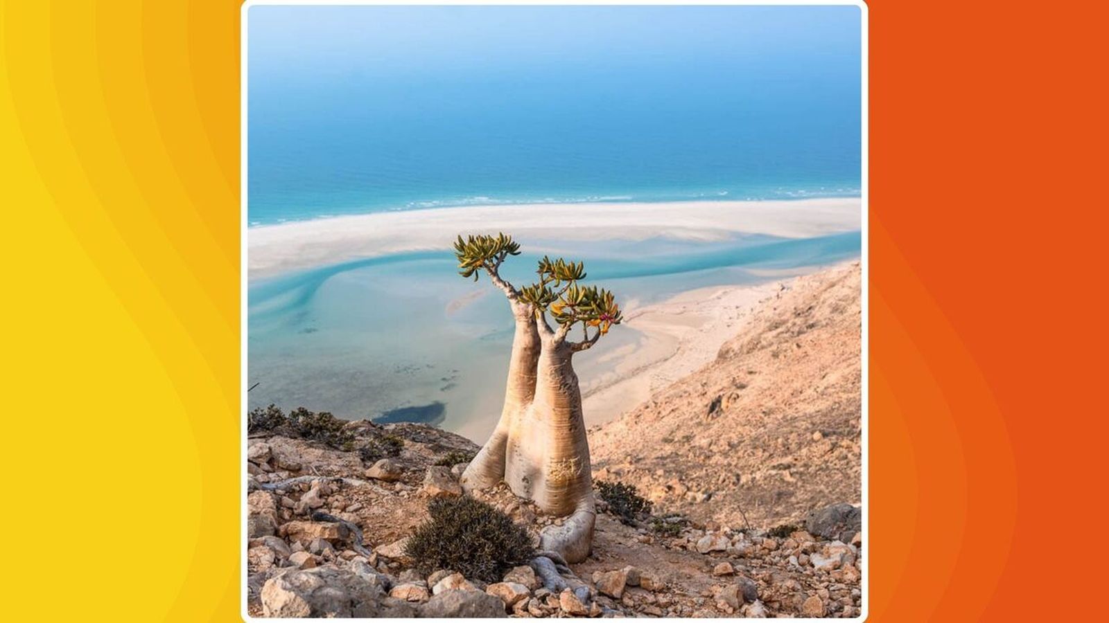 25.02.2026 | Viatges, amb Clara Estrems | Descobrim Socotra, l’illa més alienígena de la Terra