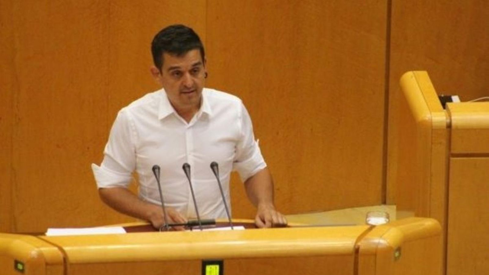 El senador de Compromís, Carles Mulet