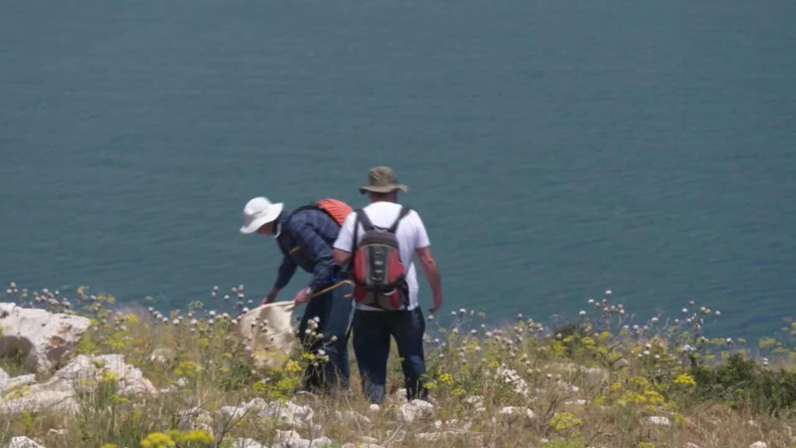 30.08.2018 | Setmana de la Biodiversitat