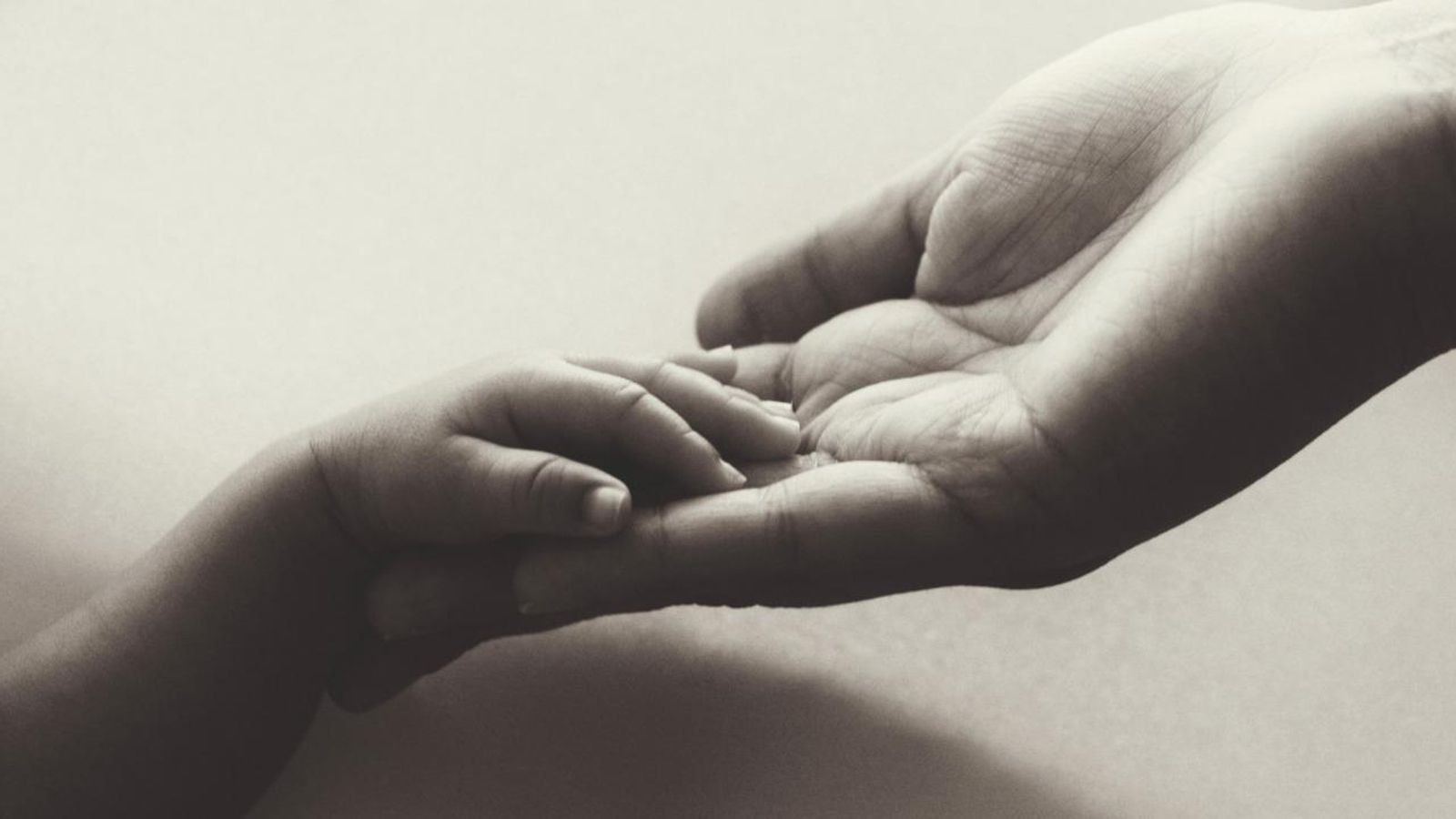 31.12.2021 | Pròxima parada | Primera hora