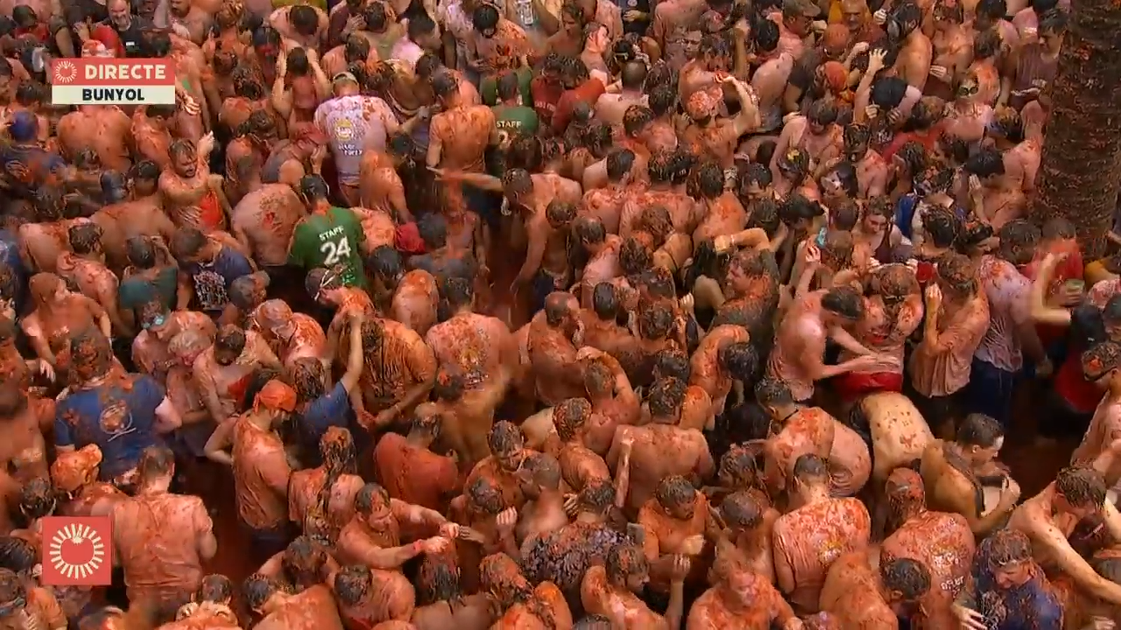 28.08.2024 | Tomatina
