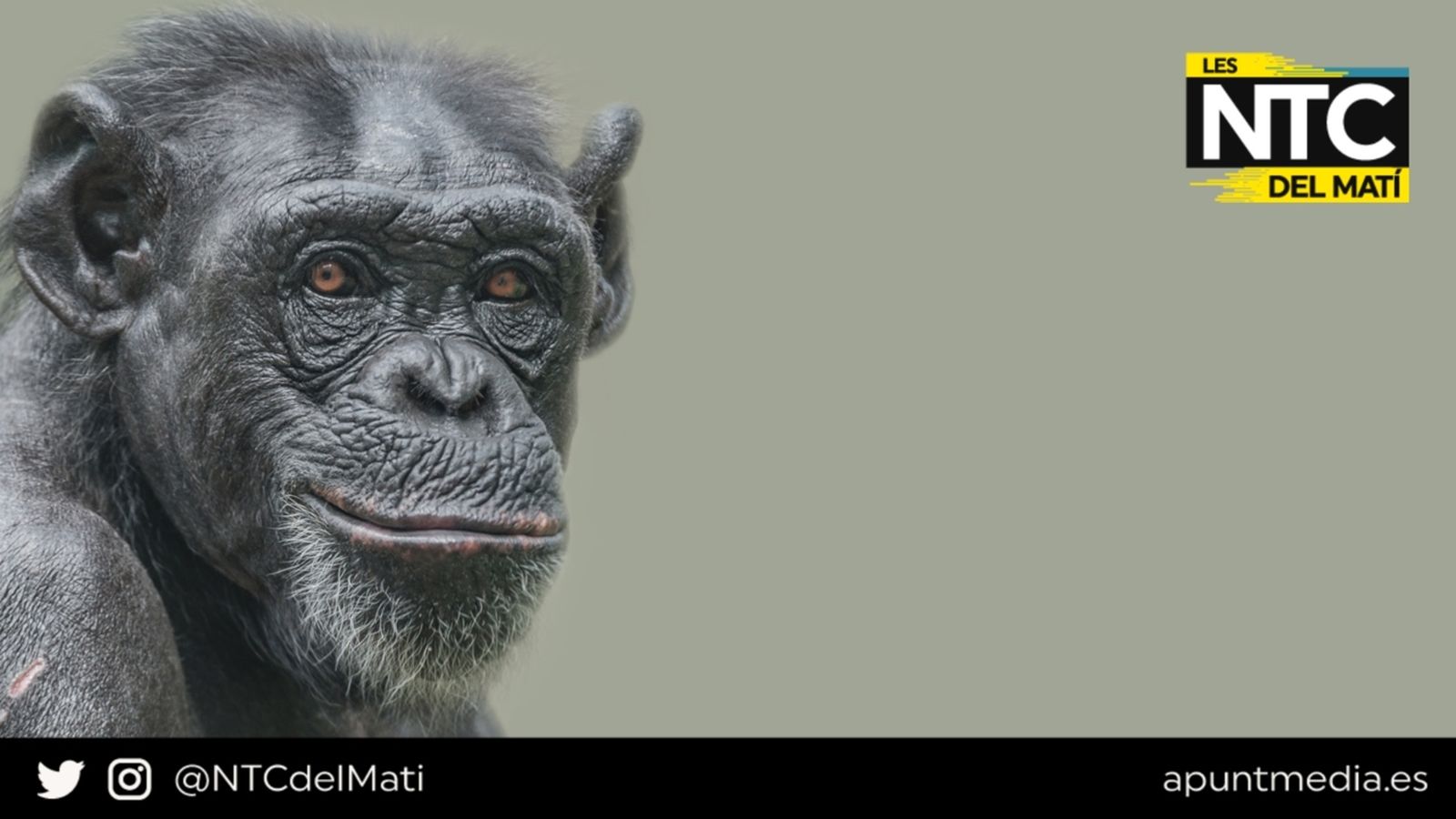 03.05.2022 | Ciència i cultura