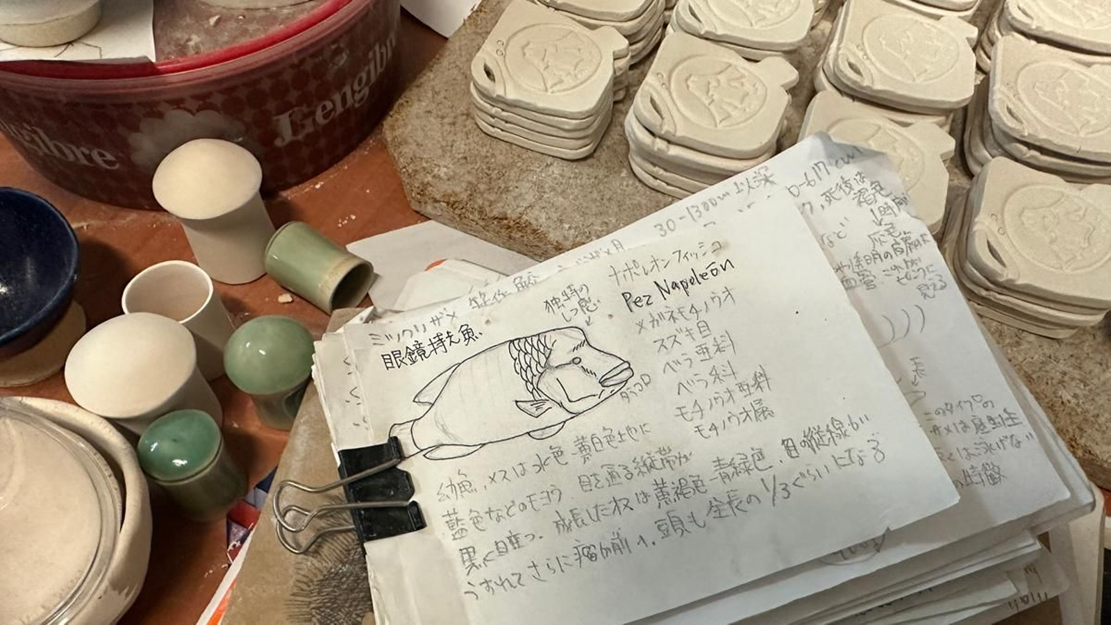 Esbós per a una peça d'un peix napoleó