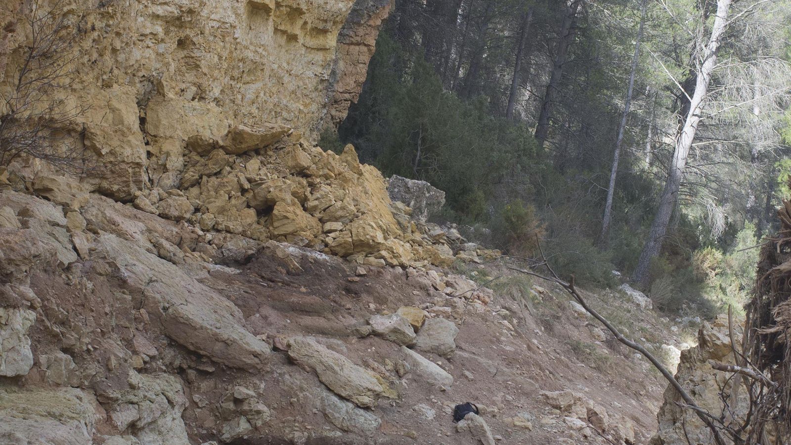 L'aigua va causar danys