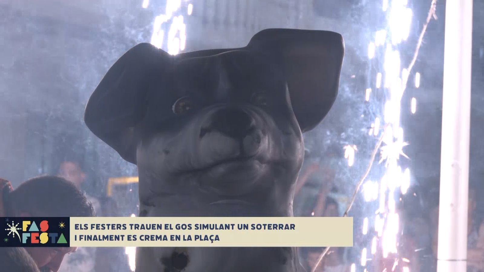 22.08.2023 | La festa del gos de Paiporta