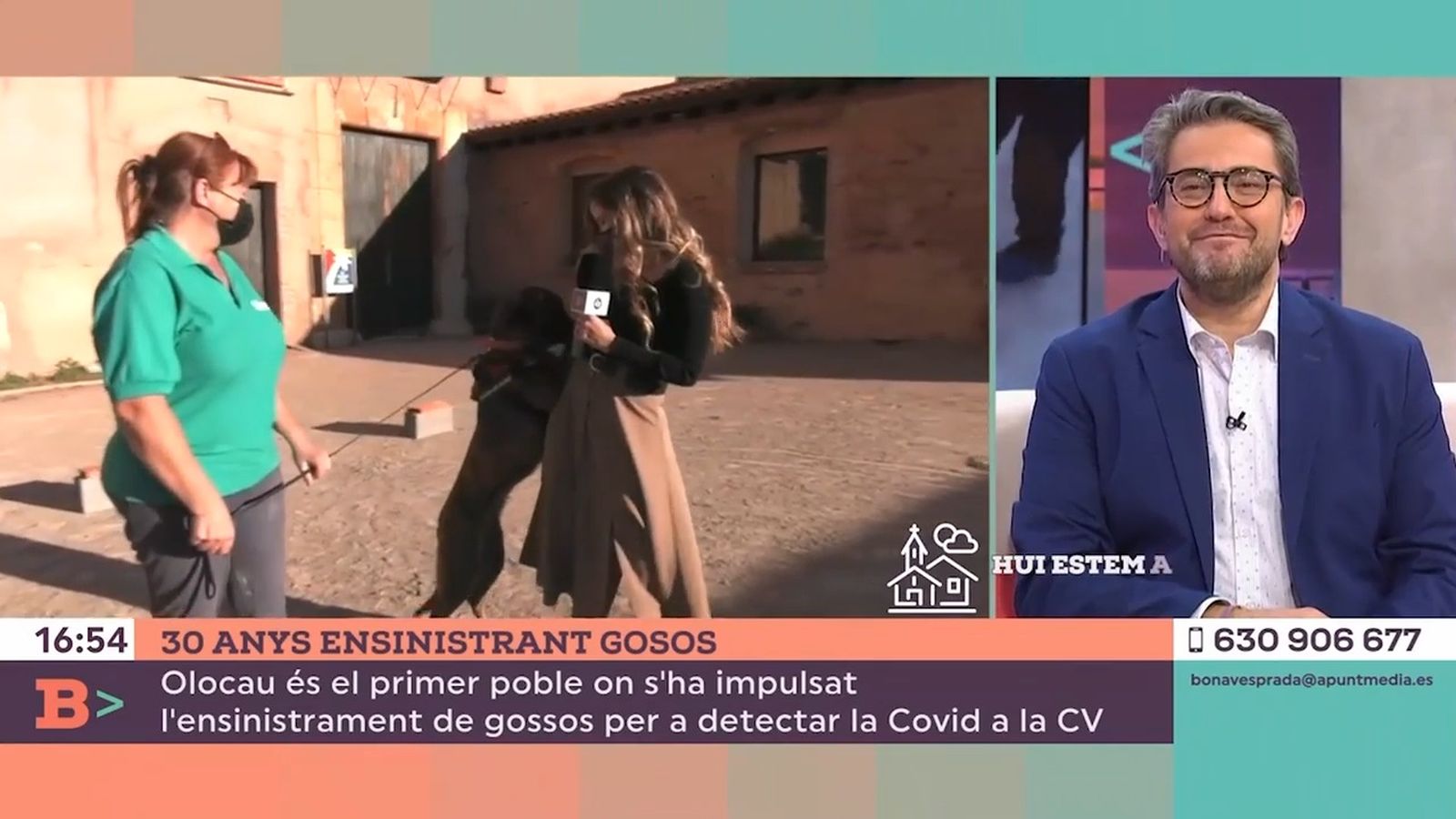 Els gossos poden detectar la Covid-19?