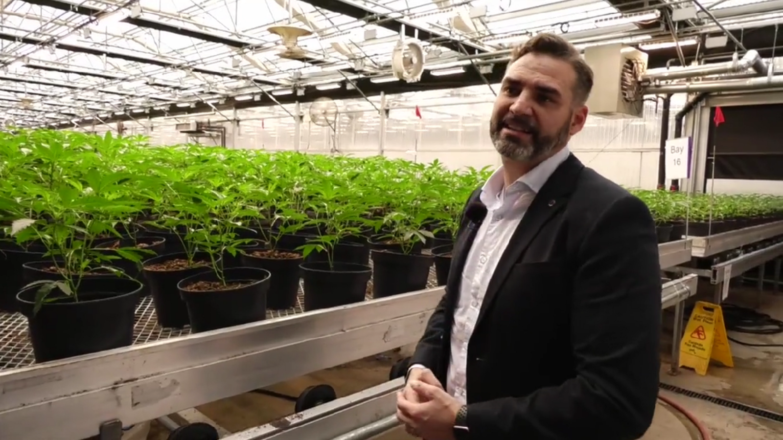 Visitarem Sacramento, on l'alacantí Ángel, ha fundat la seua empresa de biotecnologia