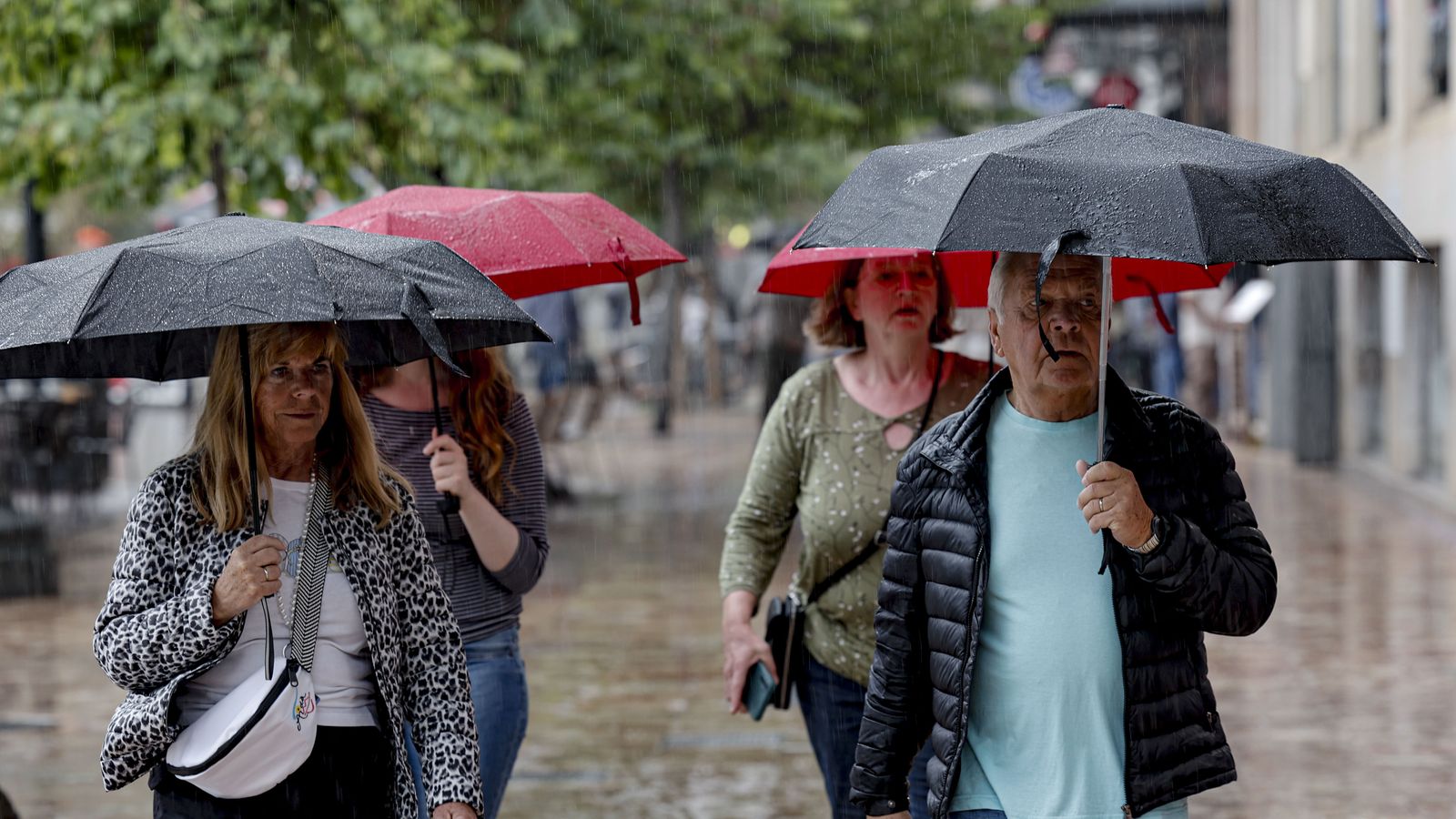 Un grup de turistes, amb paraigües, al centre de València, este divendres