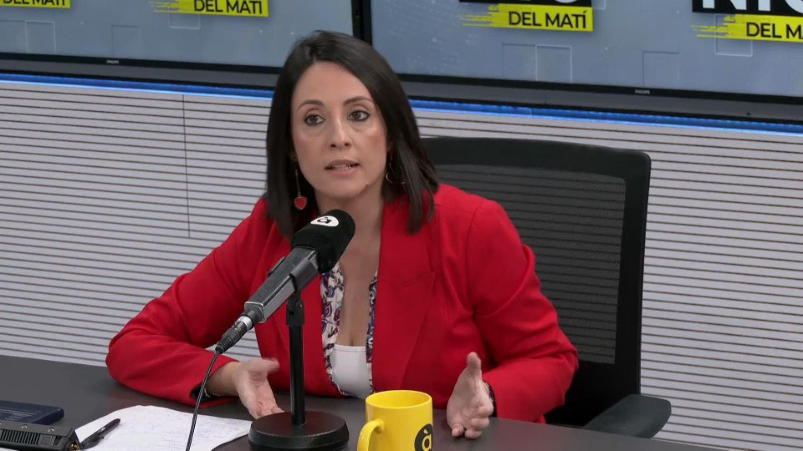 La síndica del PSPV Rebeca Torró