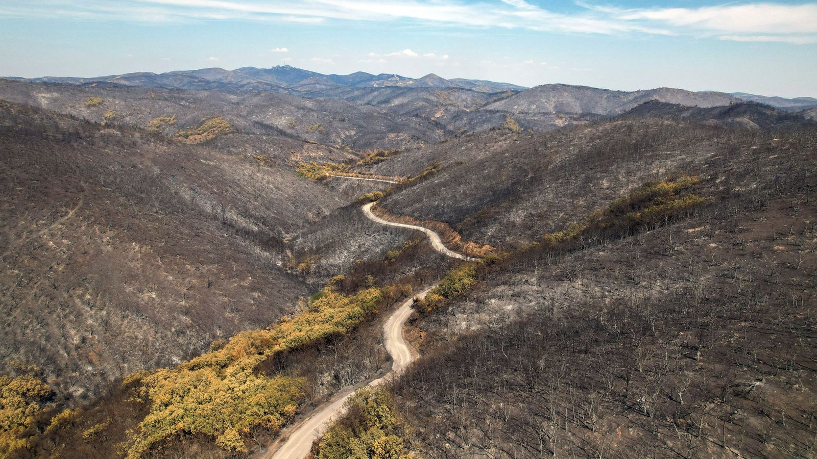 Imatge de les muntanyes calcinades per l'incendi d'Evros