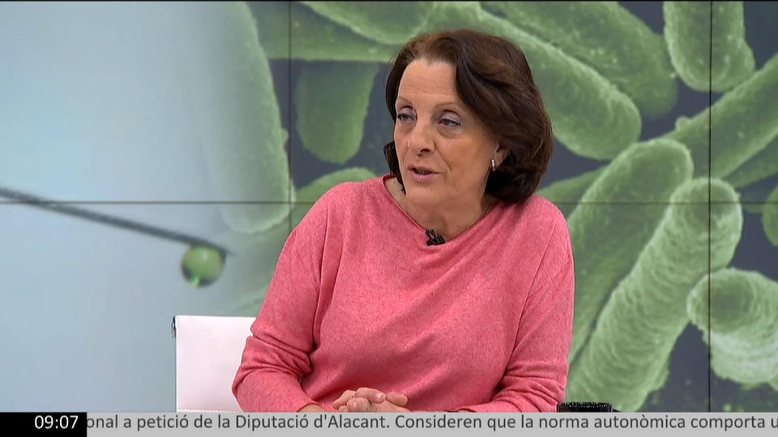 Herme Vanaclocha en 'À Punt Notícies matí'
