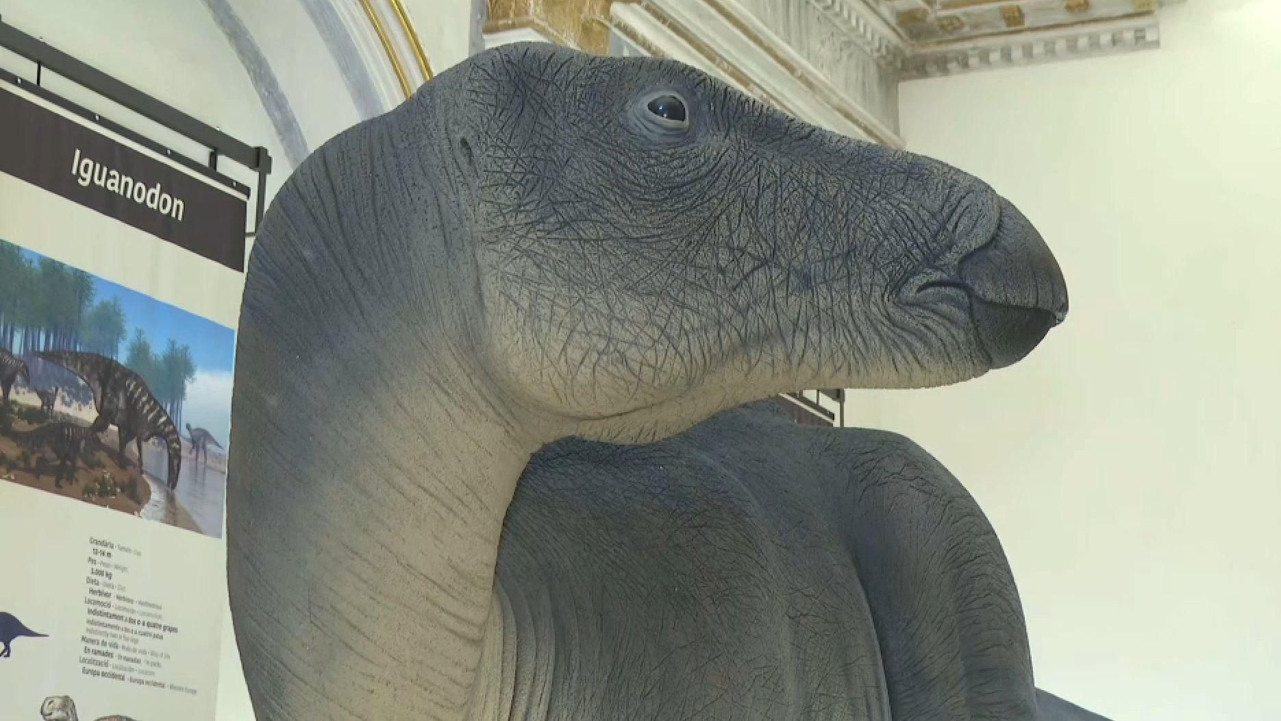 Una reproducció de l'Iguanodont, les restes del qual es van trobar a Morella fa 200 anys Una reproducció de l'Iguanodón, les restes del qual es van trobar a Morella fa 200 anys