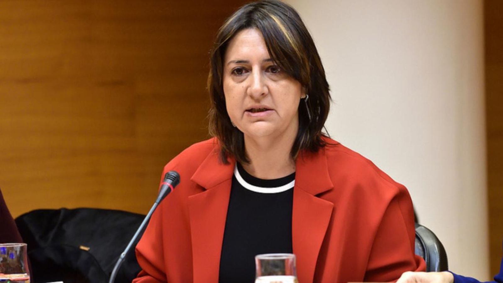 Rosa Pérez lidera la llista unitària d'EUPV per a les autonòmiques Rosa Pérez lidera la llista unitària d'EUPV per a les autonòmiques