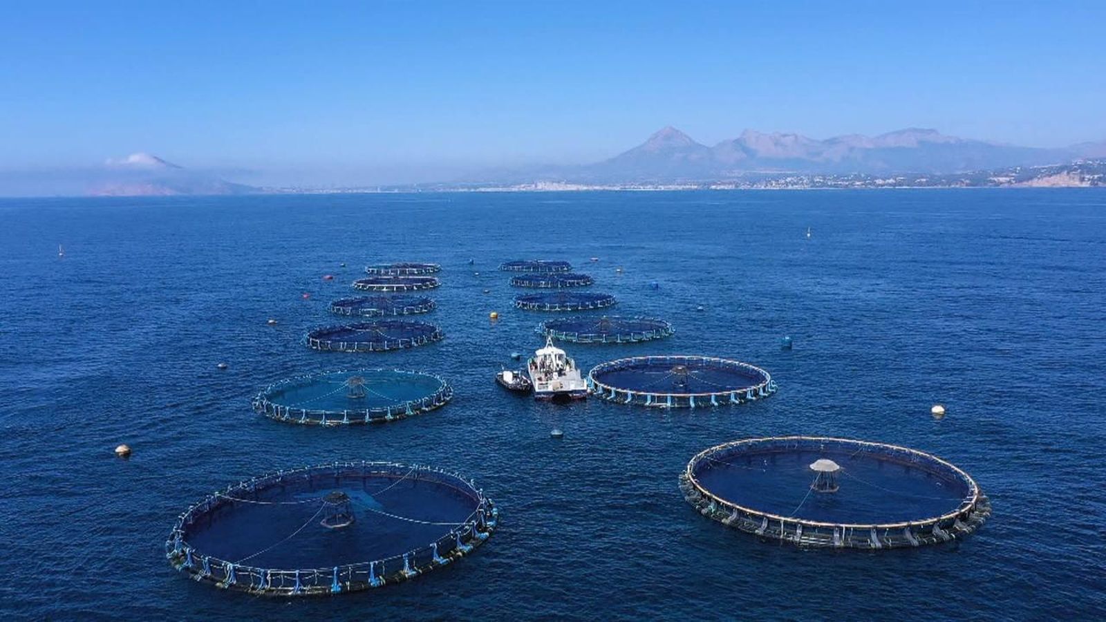 Imatge aèria de la polèmica piscifactoria