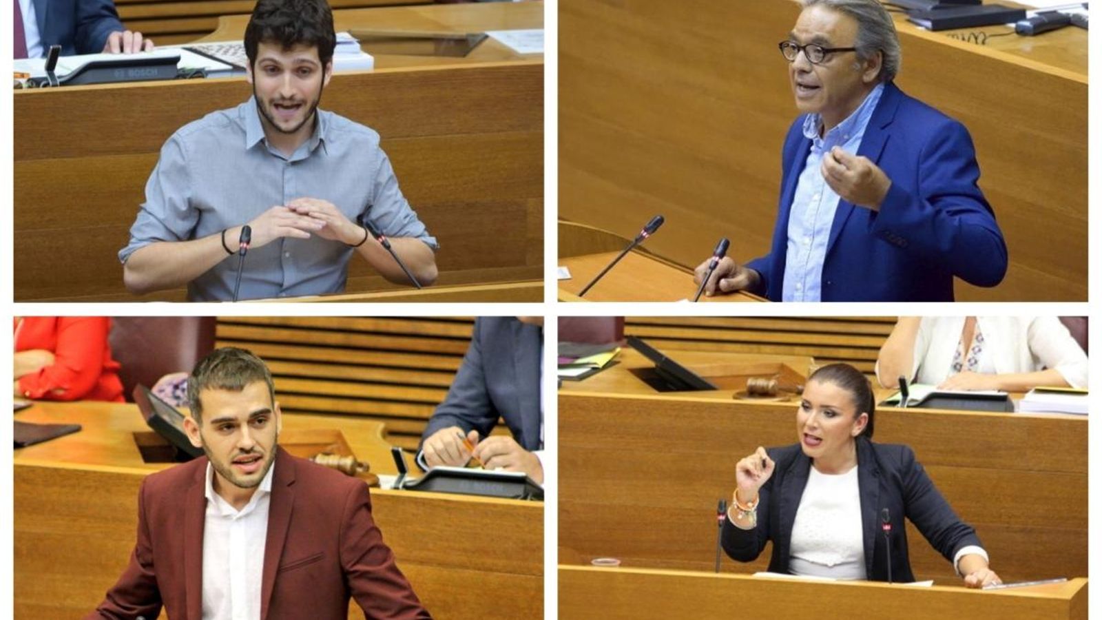 Tant els socis que integren l'Acord del Botànic com Ciutadans han exigit la dimissió de Camps Tant els socis que integren l'Acord del Botànic com Ciutadans han exigit la dimissió de Camps