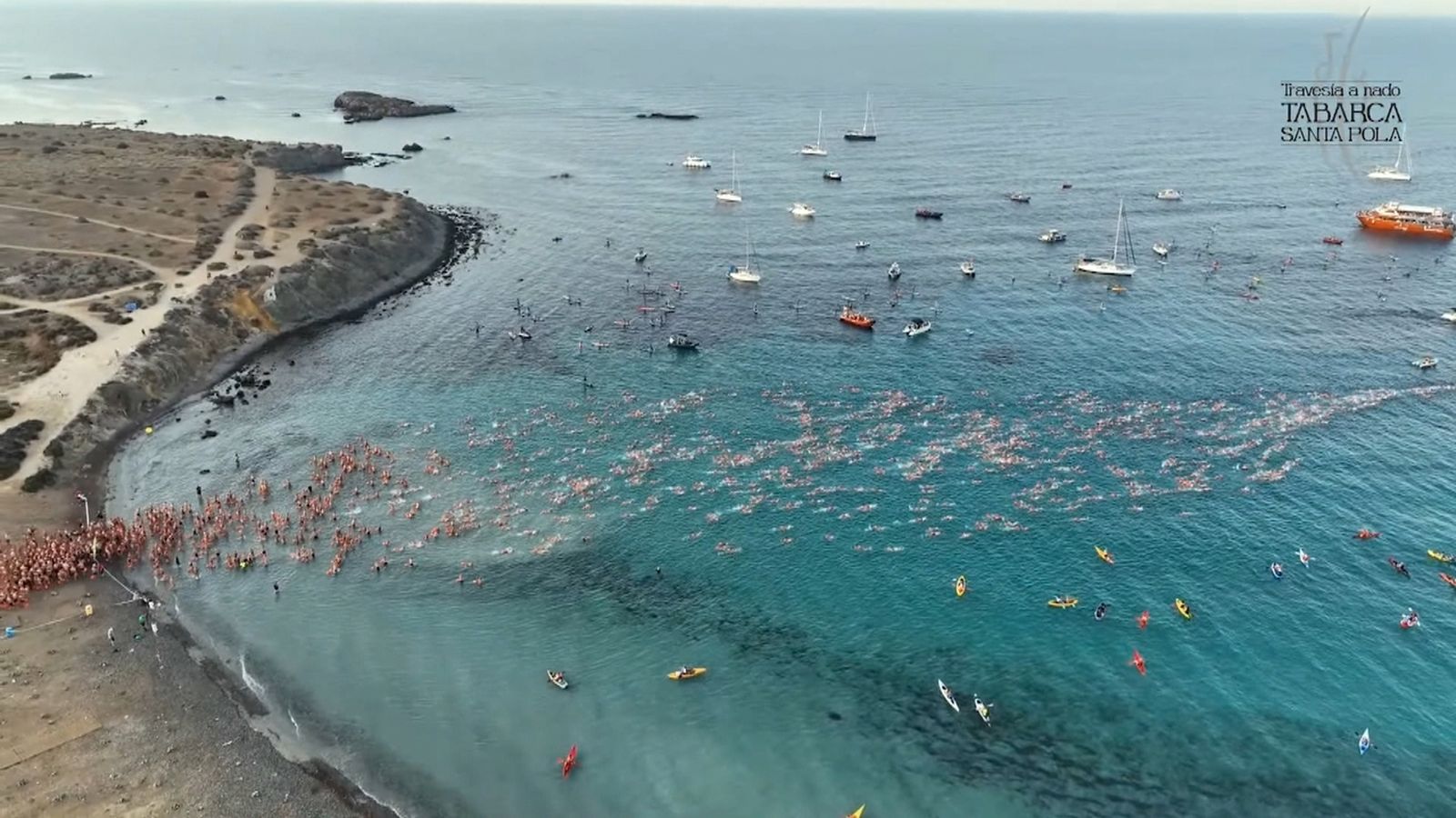 La travessia Tabarca-Santa Pola, una de les proves més prestigioses en aigües obertes