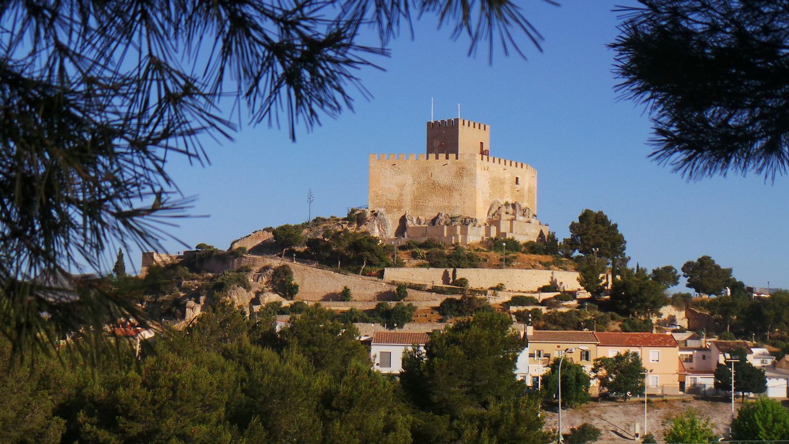 7.PETRER, EL VINALOPÓ MITJÀ, PURI SÁNCHEZ GONZÁLEZ