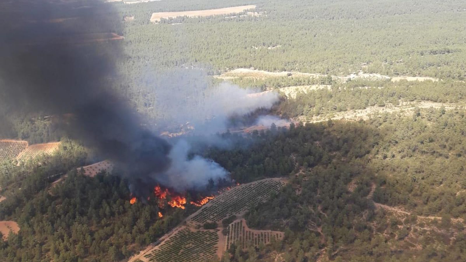 Controlat l’incendi forestal d’Utiel