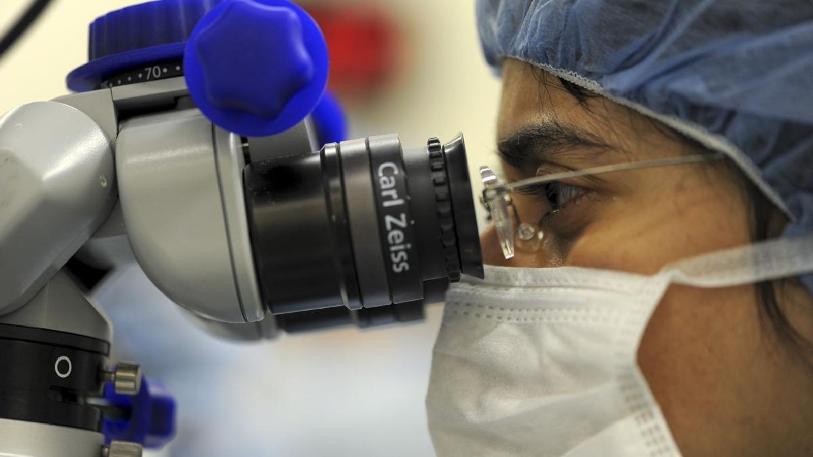 Embrions d\'animals amb cèl·lules humanes obrin noves vies per al trasplantament d\'òrgans