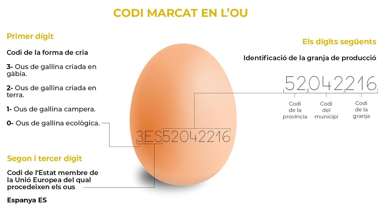 Codi dels ous