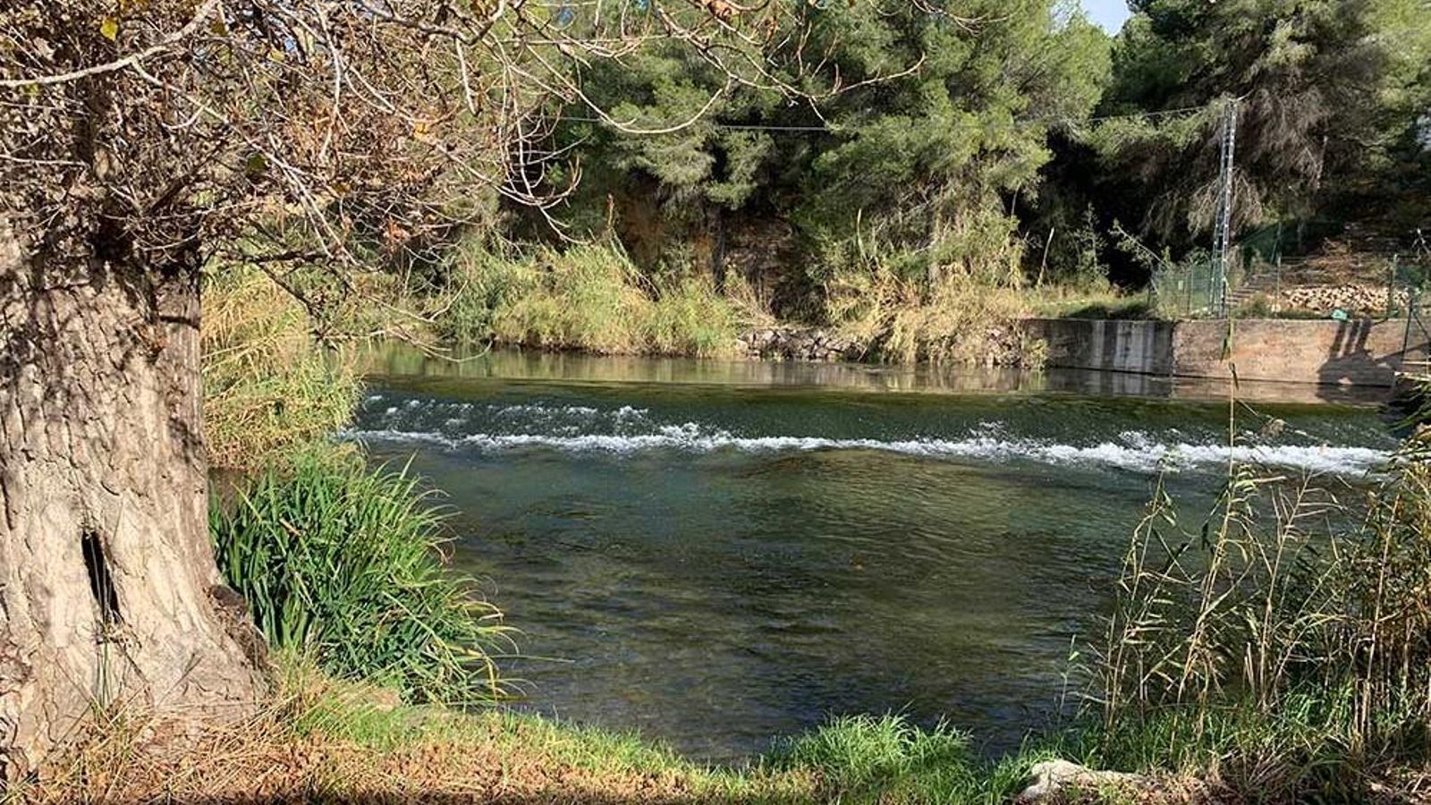 Troben el cadàver d’un jove desaparegut al riu Túria, a Manises, i detenen un amic per omissió del deure de socors