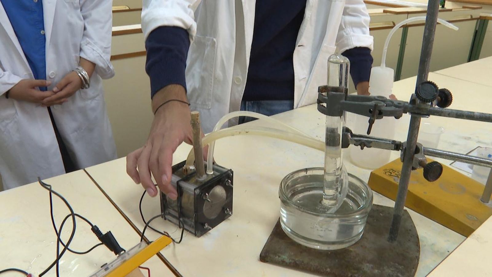 Un equip valencià finalista dels premis Sapiència 2021 amb un estudi sobre l'Albufera