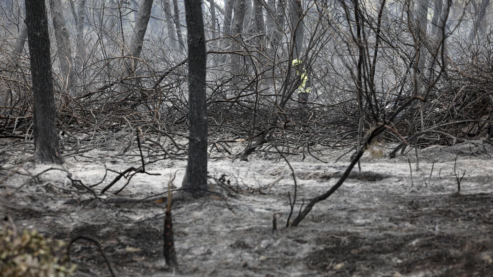 Un bomber refreda la zona cremada en l'incendi del Saler