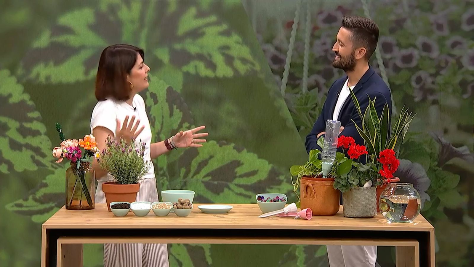 Com fer sobreviure les plantes a l'estiu