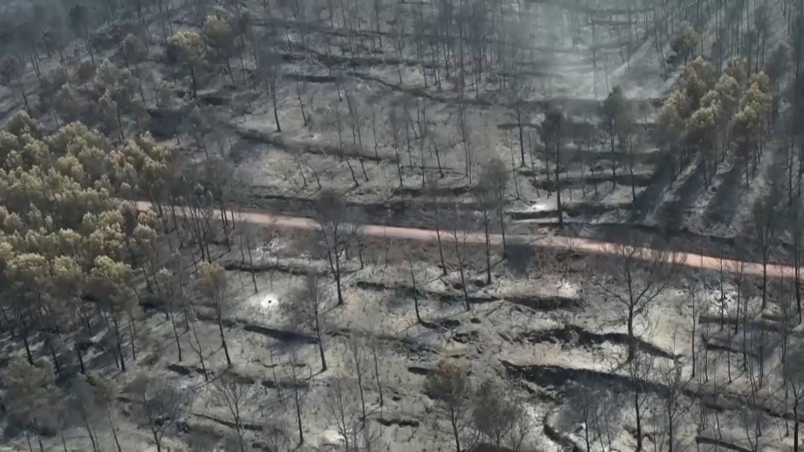 En la imatge, un dels paisatges arrasats pel foc de l'incendi de la Vall d'Uixó