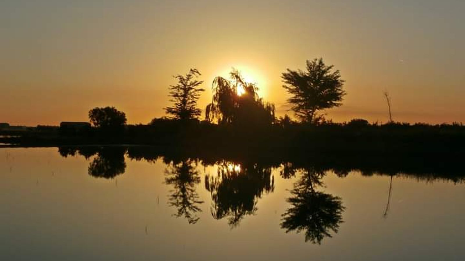 SOLLANA, LA RIBERA BAIXA