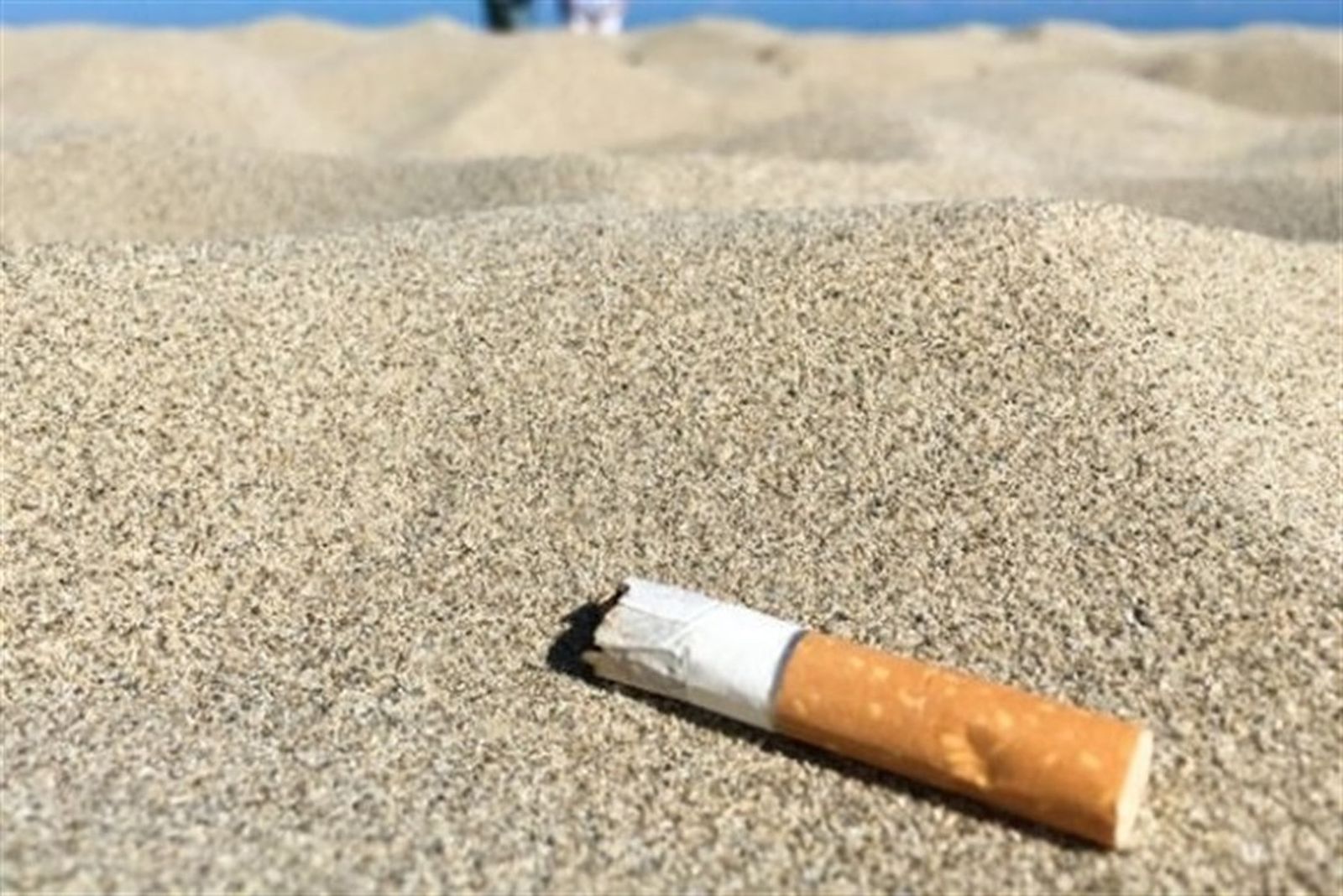 29.07.2019 | Xarxes | Una campanya en xarxes contra les puntes de cigarrets a les platges