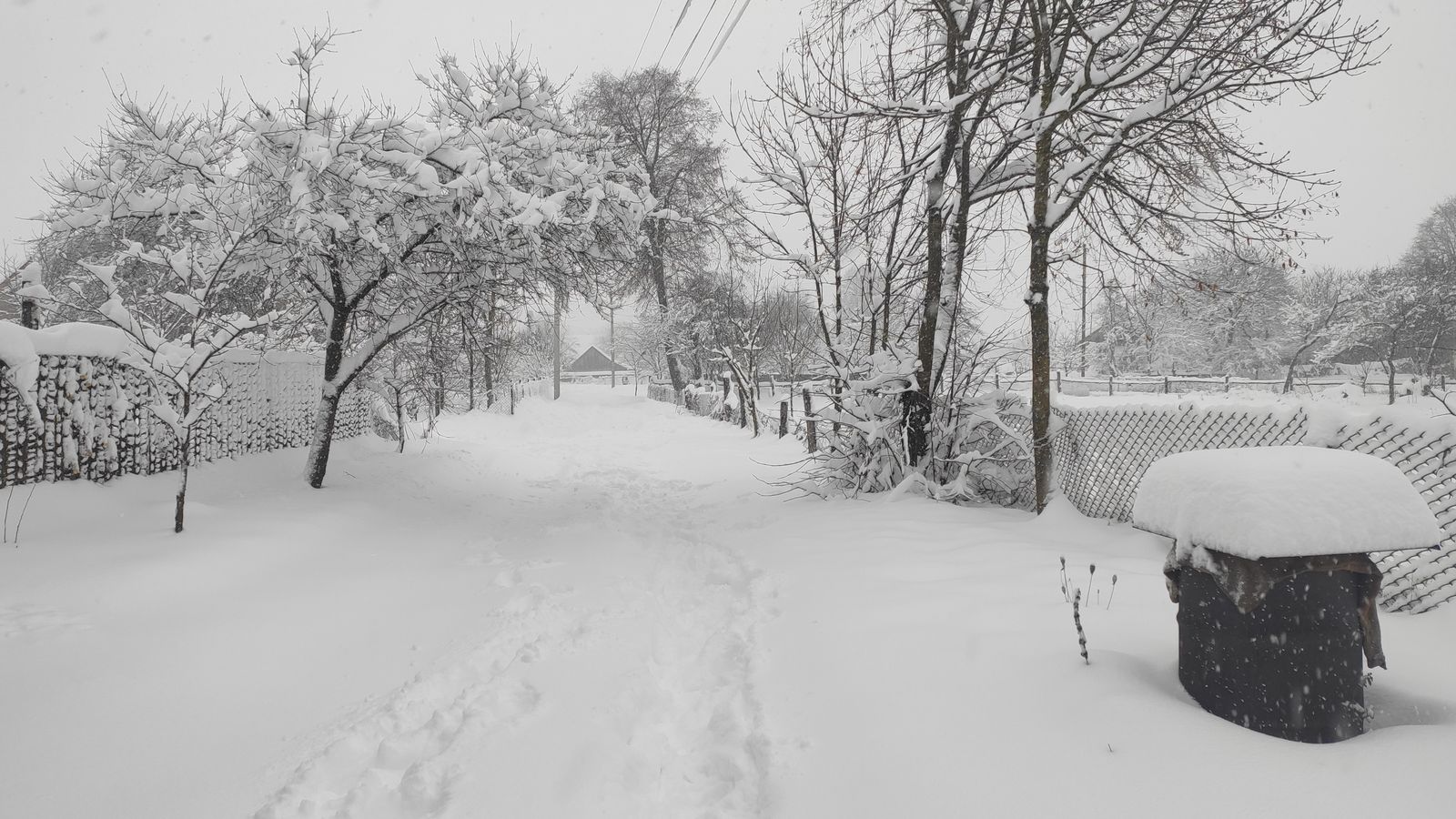 Les fortes nevades caigudes aquests dies dificulten la situació en l'oest d'Ucraïna, on segueixen les apagades d'emergència,