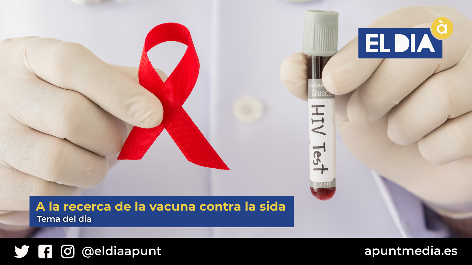 tema del dia 26