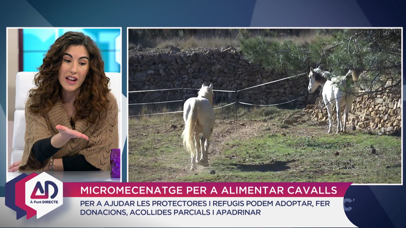 L’alimentació dels animals de companyia