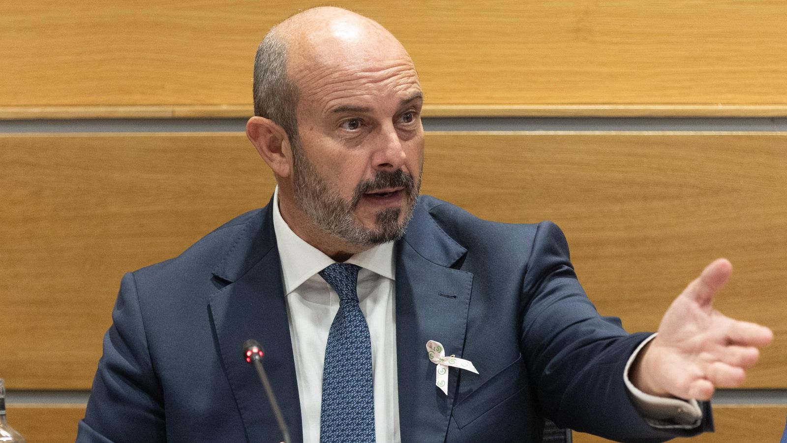 El president del Senat, Pedro Rollán