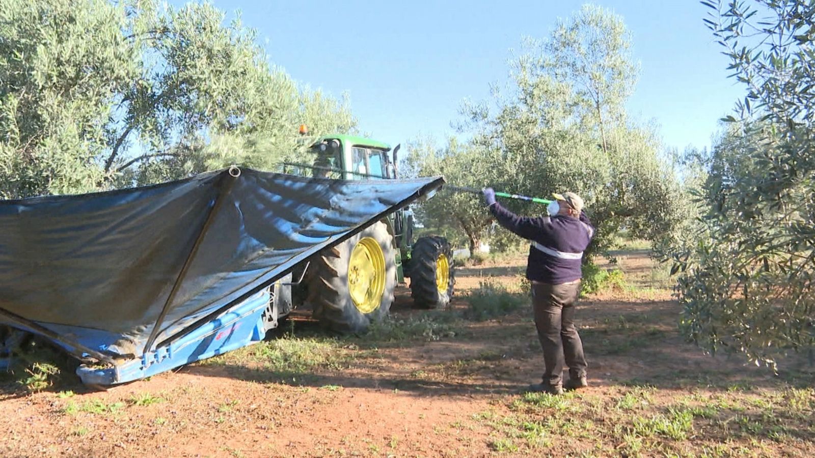 La pèrdua de rendibilitat de les campanyes d'altres cultius afecten comarques com la Canal de Navarrés, la Costera i la Vall d’Albaida
