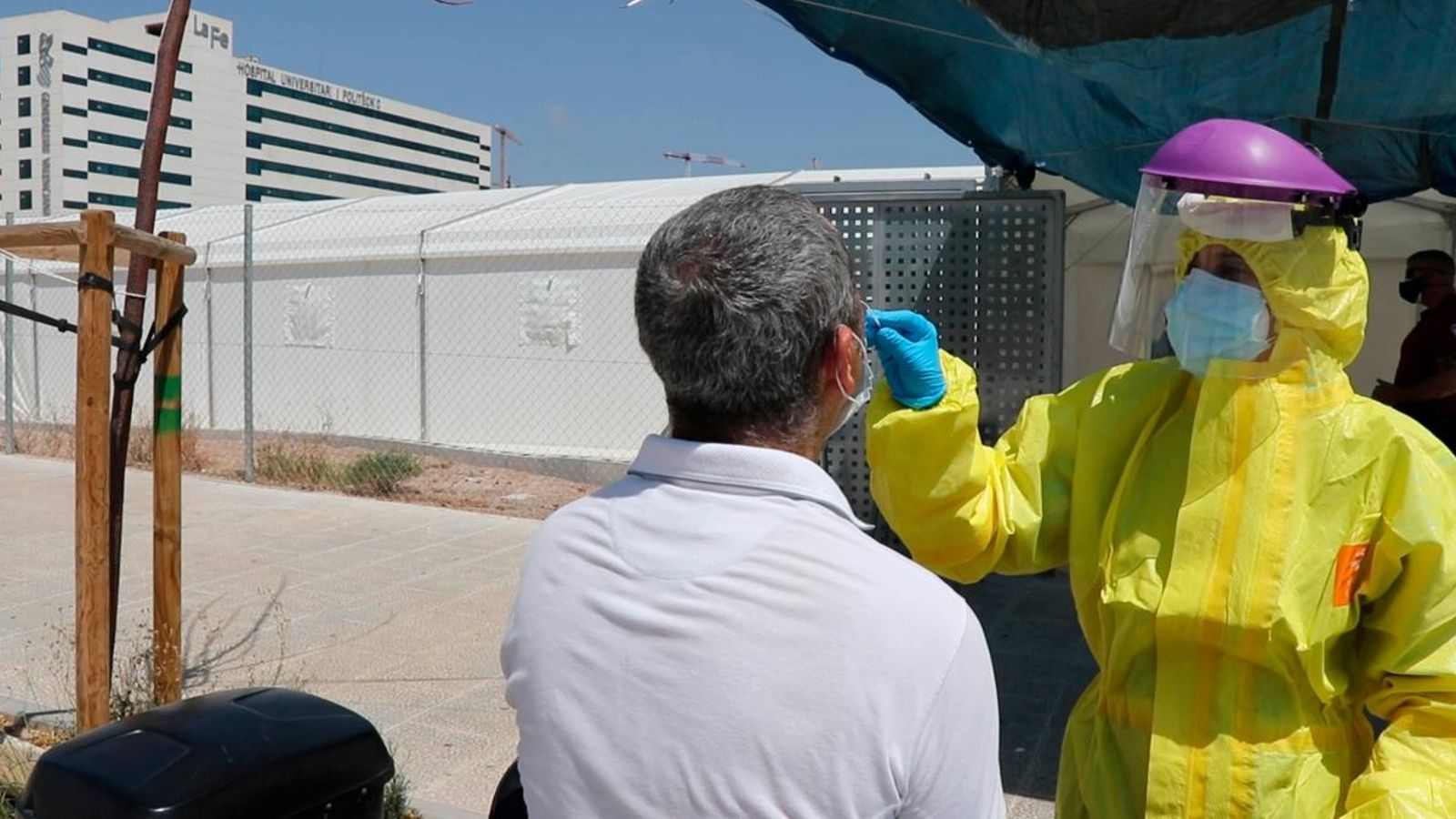 Proves PCR a València