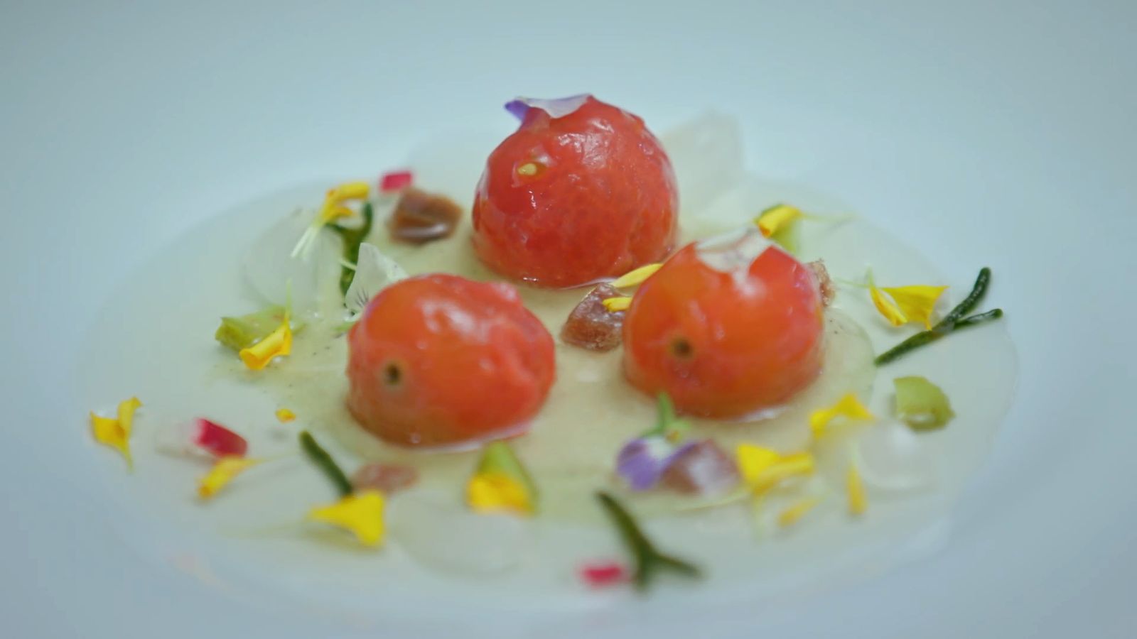 Tomaques amb la seua aigua