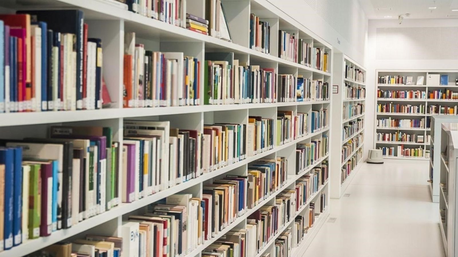 Detenen un home a València per no retornar més de 200 llibres d\'una biblioteca