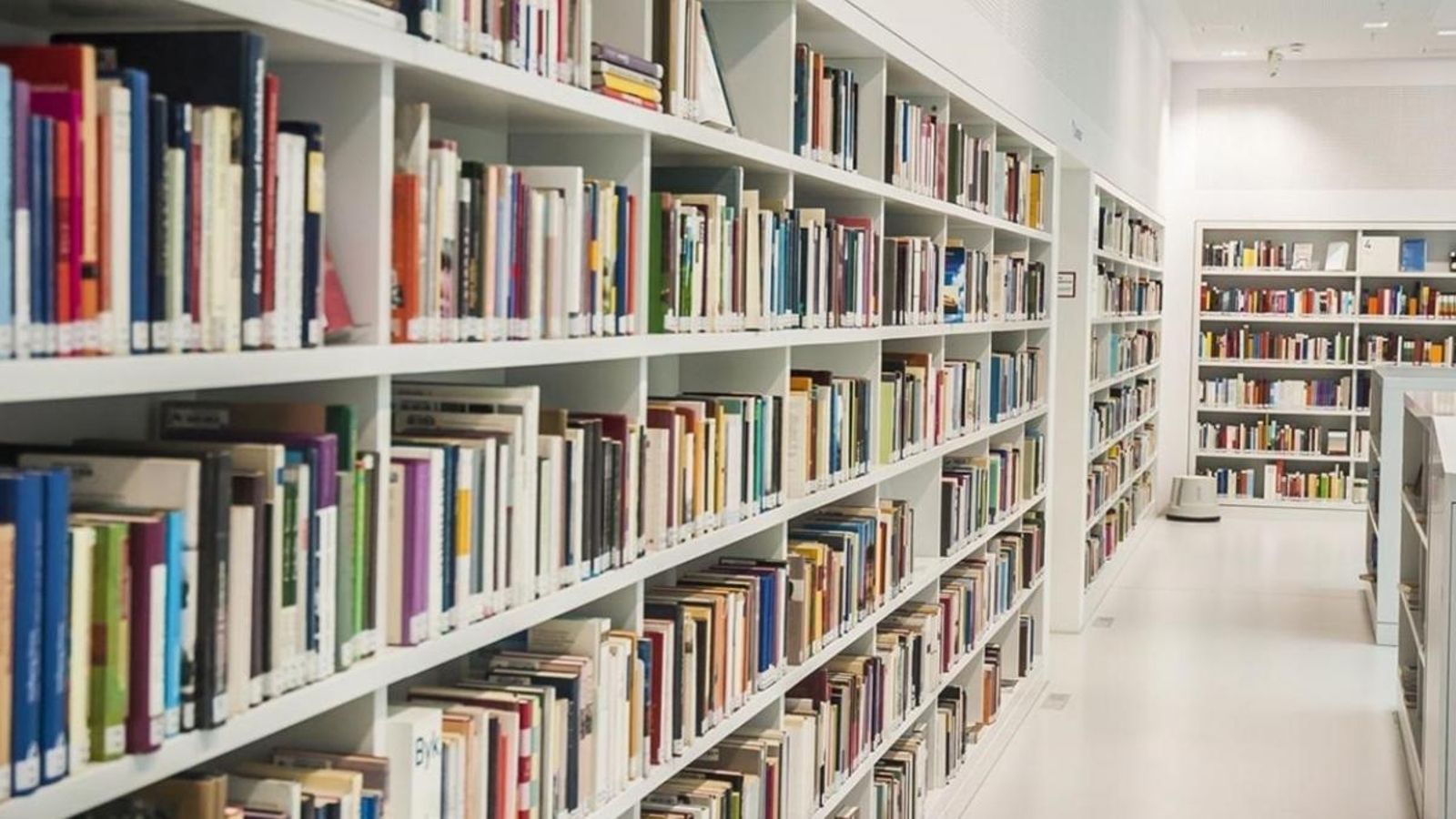 Detenen un home a València per no retornar més de 200 llibres d\'una biblioteca